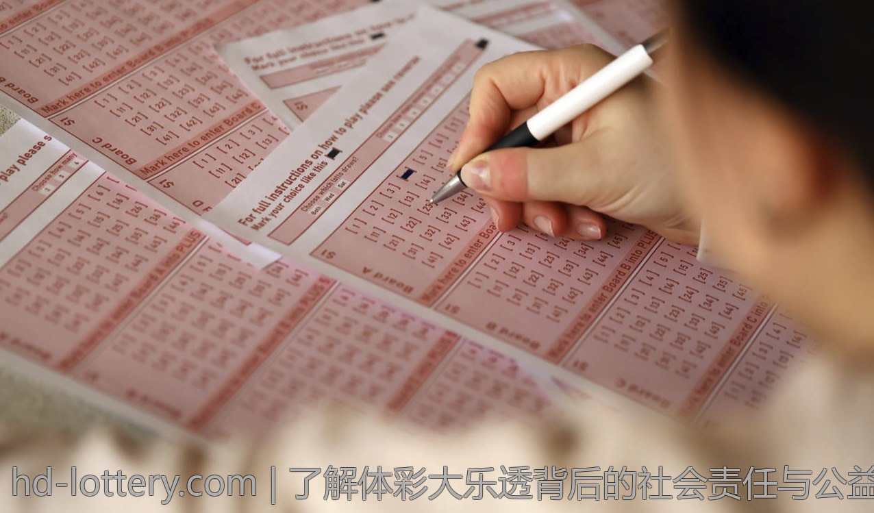 了解体彩大乐透背后的社会责任与公益